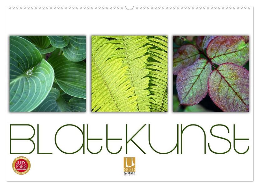 Blattkunst (Wandkalender 2027 DIN A2 quer) CALVENDO Monatskalender