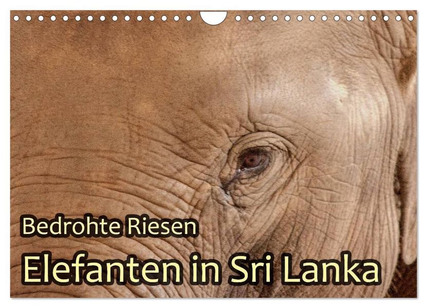 Bedrohte Riesen - Elefanten in Sri Lanka (Wandkalender 2027 DIN A4 quer) CALVENDO Monatskalender