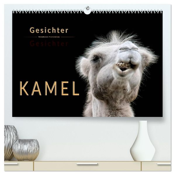 Kamel Gesichter (hochwertiger Premium Wandkalender 2027 DIN A2 quer) Kunstdruck in Hochglanz
