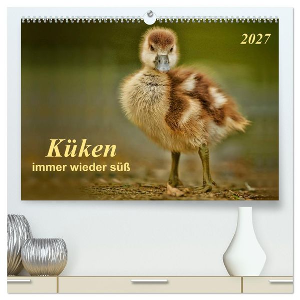 Küken - immer wieder süß (hochwertiger Premium Wandkalender 2027 DIN A2 quer) Kunstdruck in Hochglanz
