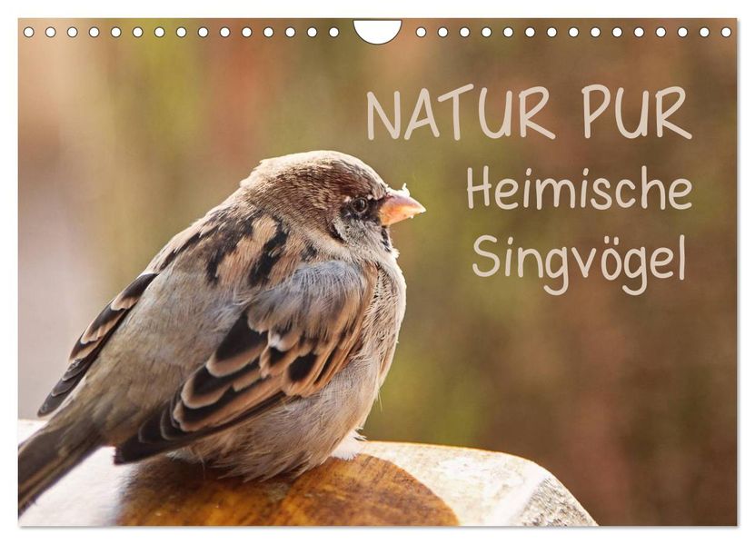 NATUR PUR Heimische Singvögel (Wandkalender 2027 DIN A4 quer) CALVENDO Monatskalender