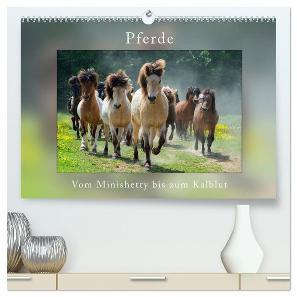 Pferde Vom Minishetty bis zum Kaltblut (hochwertiger Premium Wandkalender 2027 DIN A2 quer) Kunstdruck in Hochglanz