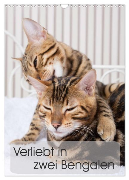 Verliebt in zwei Bengalen (Wandkalender 2027 DIN A3 hoch) CALVENDO Monatskalender