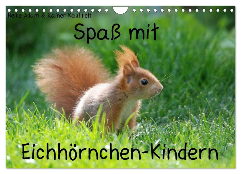 Spaß mit Eichhörnchen-Kindern (Wandkalender 2027 DIN A4 quer) CALVENDO Monatskalender