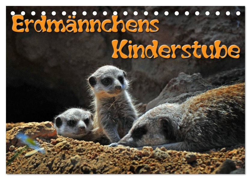 Erdmännchens Kinderstube (Tischkalender 2027 DIN A5 quer) CALVENDO Monatskalender