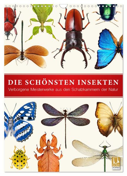 Die schönsten Insekten (Wandkalender 2027 DIN A3 hoch) CALVENDO Monatskalender