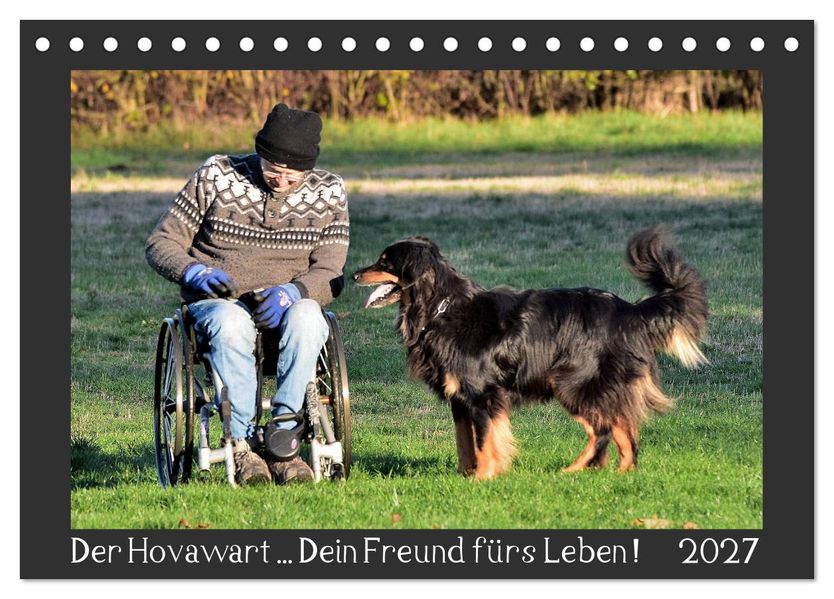 Der Hovawart... Dein Freund fürs Leben! (Tischkalender 2027 DIN A5 quer) CALVENDO Monatskalender
