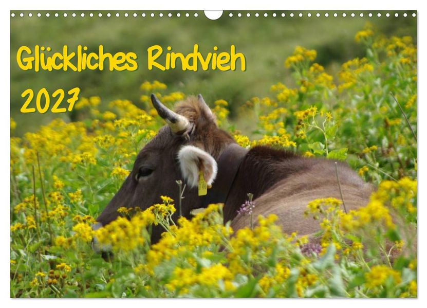 Glückliches Rindvieh 2027 (Wandkalender 2027 DIN A3 quer) CALVENDO Monatskalender