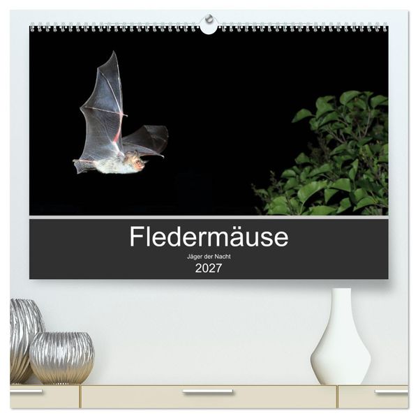 Fledermäuse - Jäger der Nacht (hochwertiger Premium Wandkalender 2027 DIN A2 quer) Kunstdruck in Hochglanz