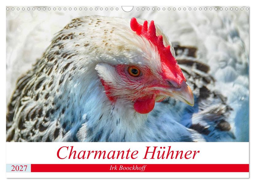 Charmante Hühner (Wandkalender 2027 DIN A3 quer) CALVENDO Monatskalender