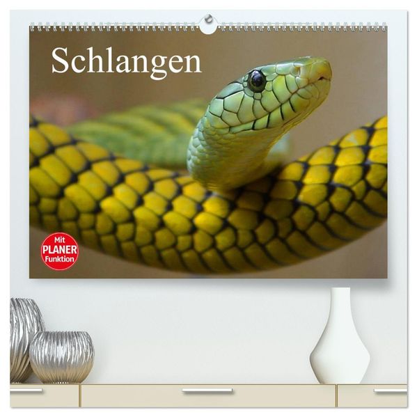 Schlangen (hochwertiger Premium Wandkalender 2027 DIN A2 quer) Kunstdruck in Hochglanz