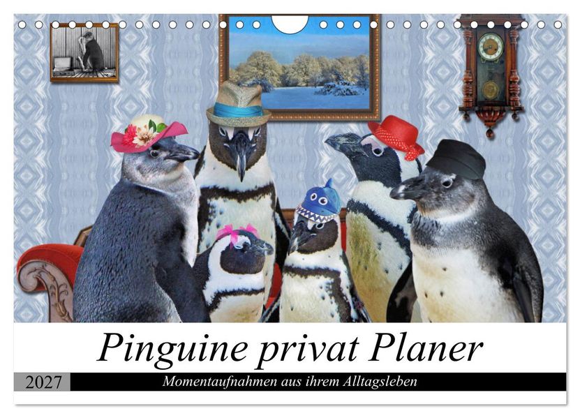 Pinguine privat Planer (Wandkalender 2027 DIN A4 quer) CALVENDO Monatskalender