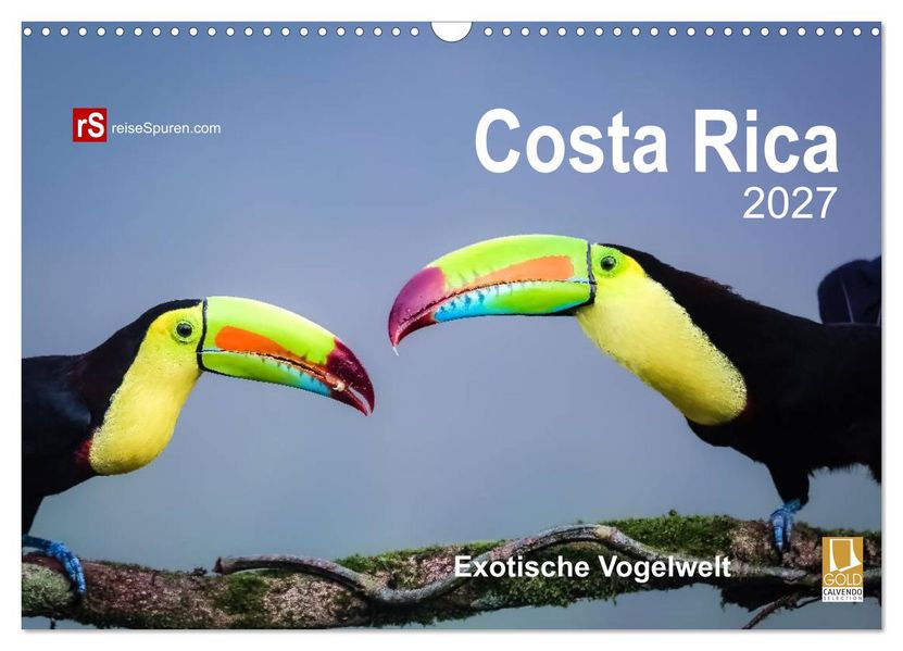 Costa Rica 2027 Exotische Vogelwelt (Wandkalender 2027 DIN A3 quer) CALVENDO Monatskalender