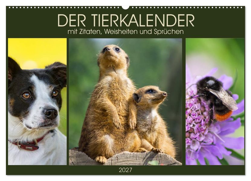 Der Tierkalender mit Zitaten Weisheiten und Sprüchen (Wandkalender 2027 DIN A2 quer) CALVENDO Monatskalender