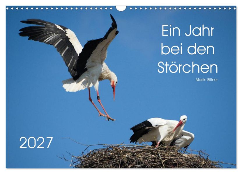 Ein Jahr bei den Störchen (Wandkalender 2027 DIN A3 quer) CALVENDO Monatskalender