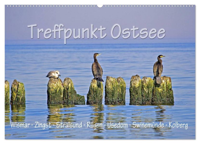 Treffpunkt Ostsee (Wandkalender 2027 DIN A2 quer) CALVENDO Monatskalender