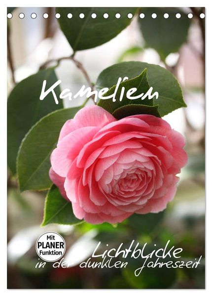 Kamelien Lichtblicke in der dunklen Jahreszeit (Tischkalender 2027 DIN A5 hoch) CALVENDO Monatskalender