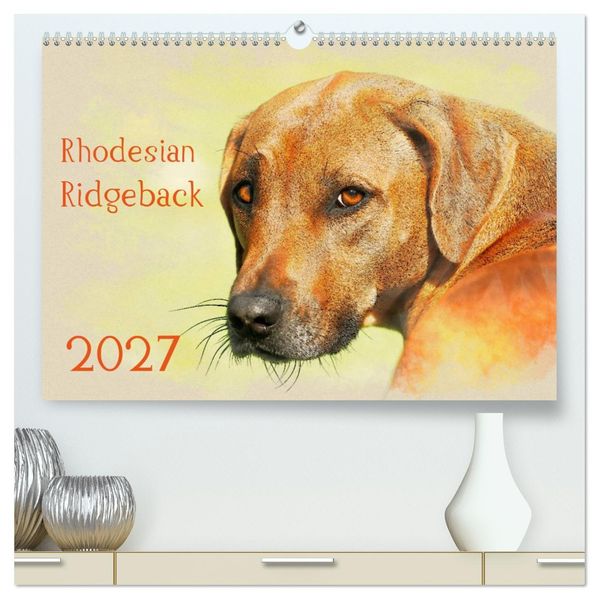 Rhodesian Ridgeback 2027 (hochwertiger Premium Wandkalender 2027 DIN A2 quer) Kunstdruck in Hochglanz