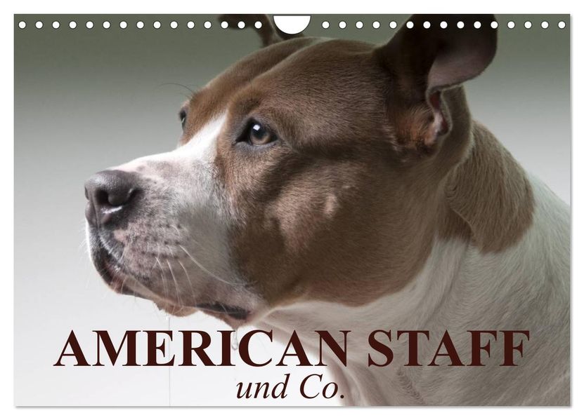 American Staff und Co. (Wandkalender 2027 DIN A4 quer) CALVENDO Monatskalender