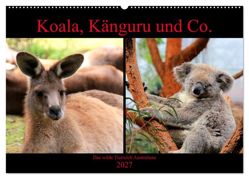 Koala Känguru und Co. - Das wilde Tierreich Australiens (Wandkalender 2027 DIN A2 quer) CALVENDO Monatskalender