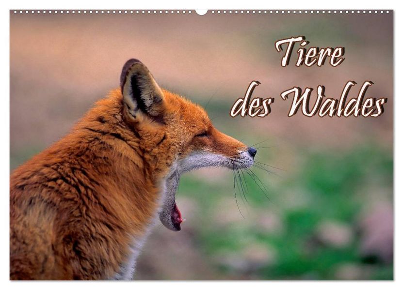 Tiere des Waldes (Wandkalender 2027 DIN A2 quer) CALVENDO Monatskalender