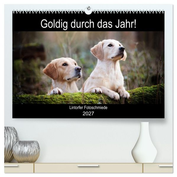 Goldig durch das Jahr! (hochwertiger Premium Wandkalender 2027 DIN A2 quer) Kunstdruck in Hochglanz