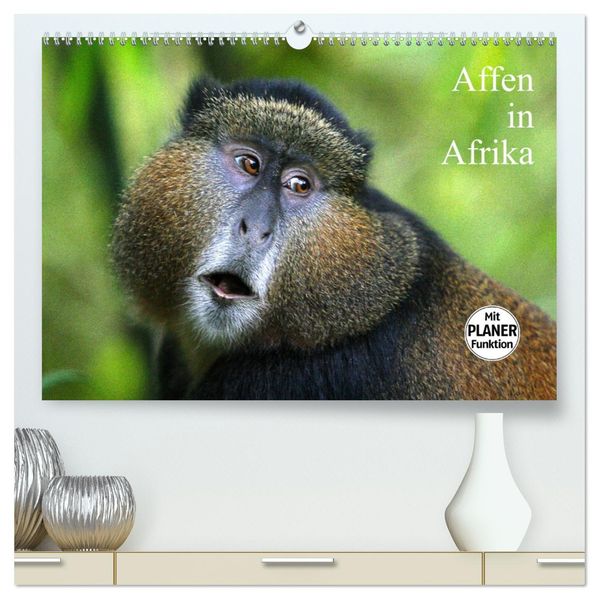 Affen in Afrika (hochwertiger Premium Wandkalender 2027 DIN A2 quer) Kunstdruck in Hochglanz