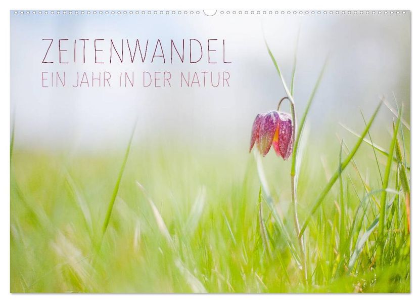 Zeitenwandel - Ein Jahr in der Natur (Wandkalender 2027 DIN A2 quer) CALVENDO Monatskalender