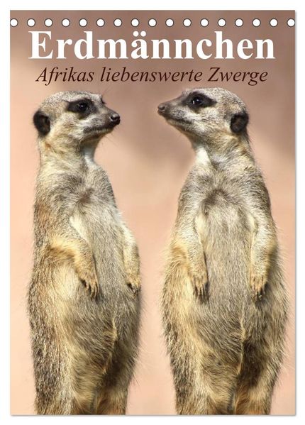 Erdmännchen - Afrikas liebenswerte Zwerge (Tischkalender 2027 DIN A5 hoch) CALVENDO Monatskalender
