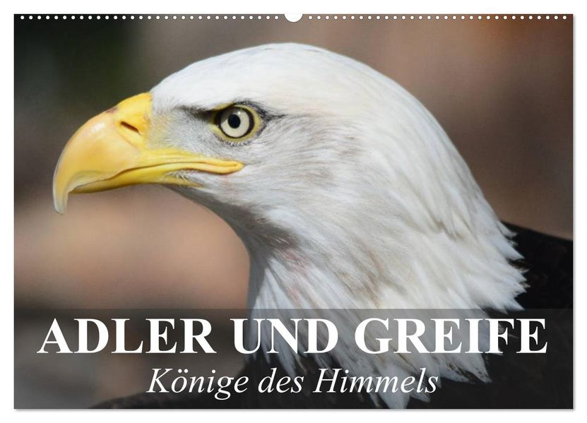 Adler und Greife - Könige des Himmels (Wandkalender 2027 DIN A2 quer) CALVENDO Monatskalender