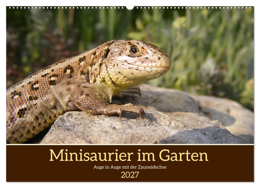Minisaurier im Garten (Wandkalender 2027 DIN A2 quer) CALVENDO Monatskalender