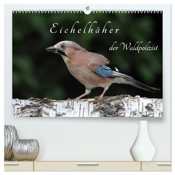 Eichelhäher der Waldpolizist (hochwertiger Premium Wandkalender 2027 DIN A2 quer) Kunstdruck in Hochglanz