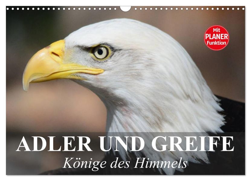 Adler und Greife. Könige des Himmels (Wandkalender 2027 DIN A3 quer) CALVENDO Monatskalender