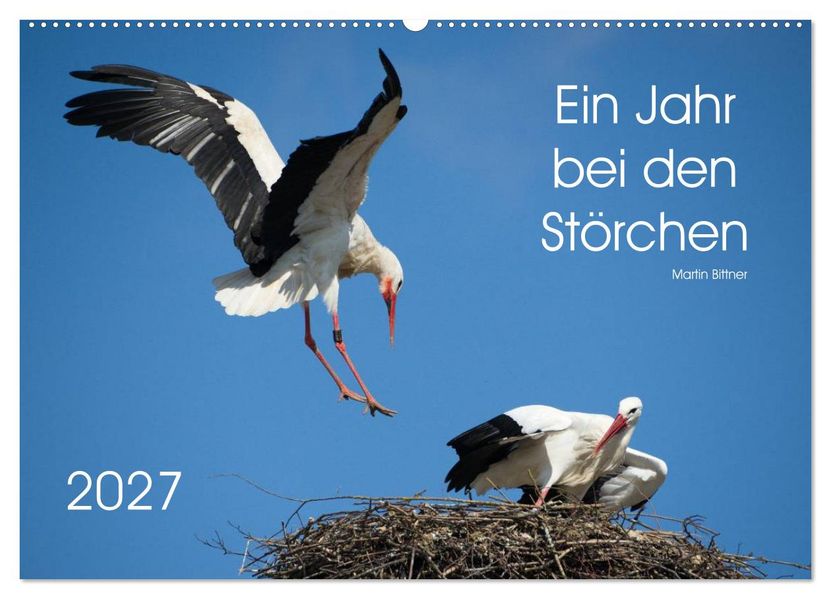 Ein Jahr bei den Störchen (Wandkalender 2027 DIN A2 quer) CALVENDO Monatskalender