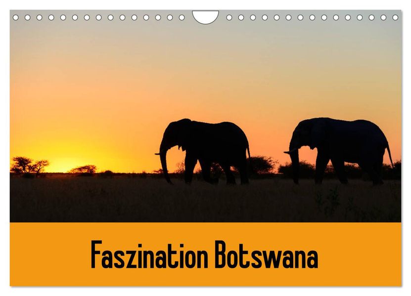 Faszination Botswana (Wandkalender 2027 DIN A4 quer) CALVENDO Monatskalender