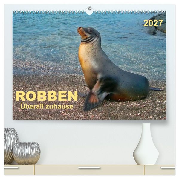 Robben - überall zuhause (hochwertiger Premium Wandkalender 2027 DIN A2 quer) Kunstdruck in Hochglanz
