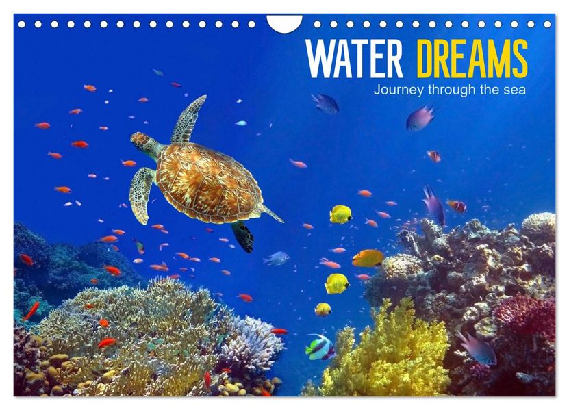 Water Dreams-journey through the sea (Wall Calendar 2027 DIN A4 landscape) CALVENDO 12 Month Wall Calendar