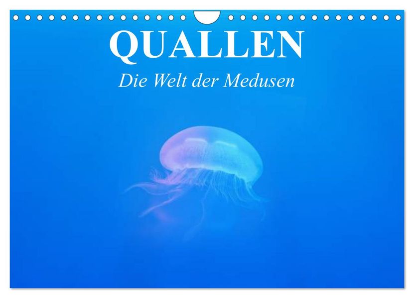 Quallen. Die Welt der Medusen (Wandkalender 2027 DIN A4 quer) CALVENDO Monatskalender