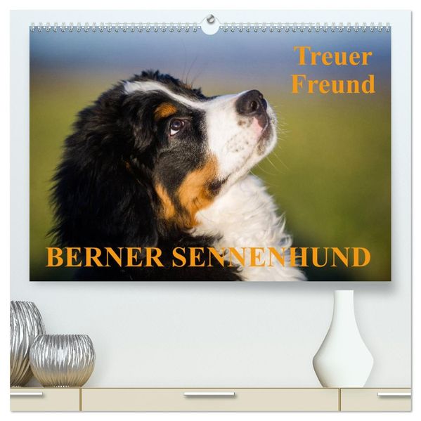 Treuer Freund Berner Sennenhund (hochwertiger Premium Wandkalender 2027 DIN A2 quer) Kunstdruck in Hochglanz