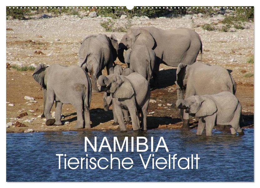 Namibia - Tierische Vielfalt (Wandkalender 2027 DIN A2 quer) CALVENDO Monatskalender