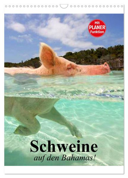 Schweine auf den Bahamas! (Wandkalender 2027 DIN A3 hoch) CALVENDO Monatskalender
