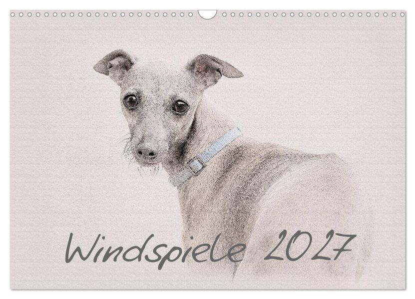 Windspiele 2027 (Wandkalender 2027 DIN A3 quer) CALVENDO Monatskalender
