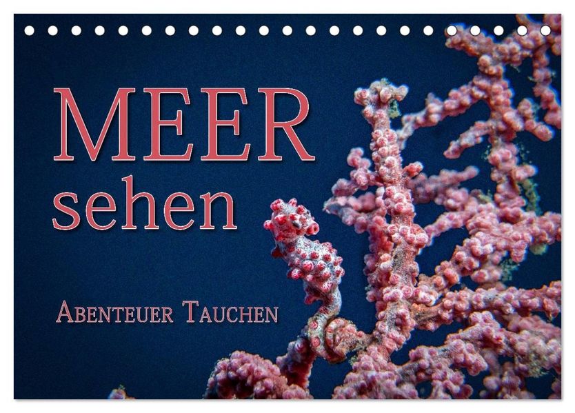 Meer sehen - Abenteuer Tauchen (Tischkalender 2027 DIN A5 quer) CALVENDO Monatskalender