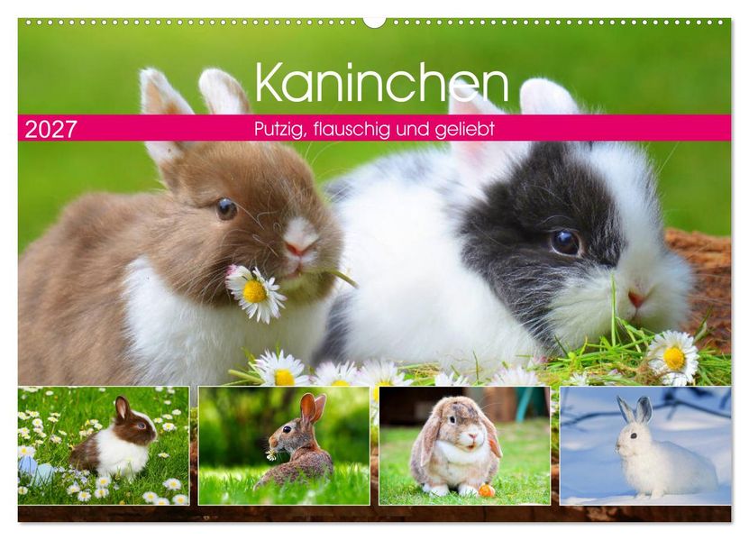 Kaninchen. Putzig flauschig und geliebt (Wandkalender 2027 DIN A2 quer) CALVENDO Monatskalender