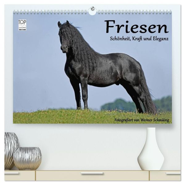 Friesen - Schönheit Kraft und Eleganz (hochwertiger Premium Wandkalender 2027 DIN A2 quer) Kunstdruck in Hochglanz