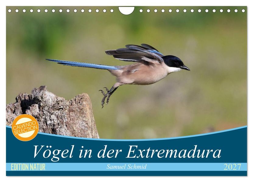 Vögel in der Extremadura (Wandkalender 2027 DIN A4 quer) CALVENDO Monatskalender