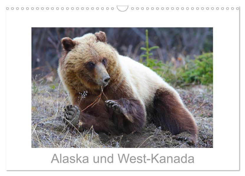 Alaska und West-Kanada (Wandkalender 2027 DIN A3 quer) CALVENDO Monatskalender