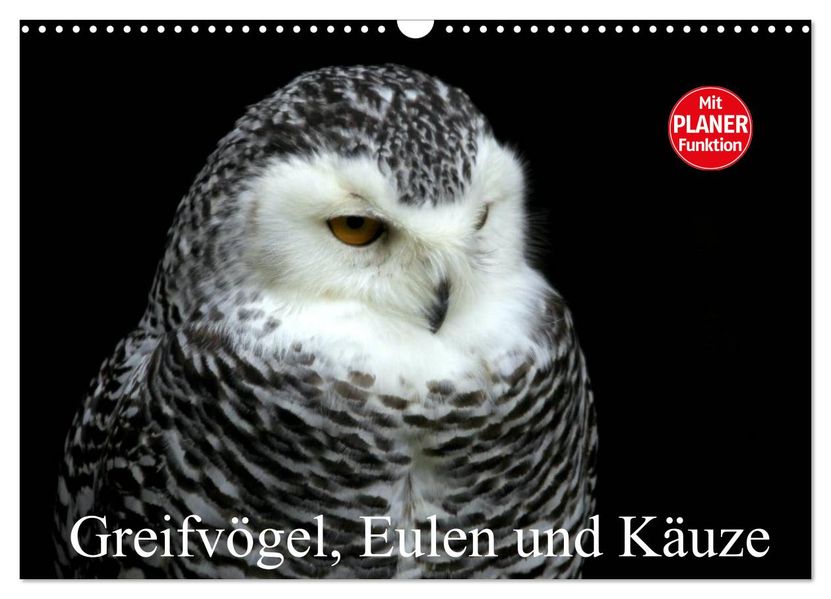 Greifvögel Eulen und Käuze (Wandkalender 2027 DIN A3 quer) CALVENDO Monatskalender