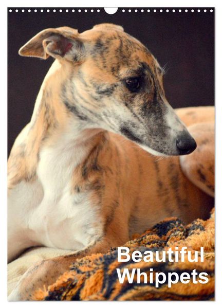 Beautiful Whippets (Wall Calendar 2027 DIN A3 portrait) CALVENDO 12 Month Wall Calendar