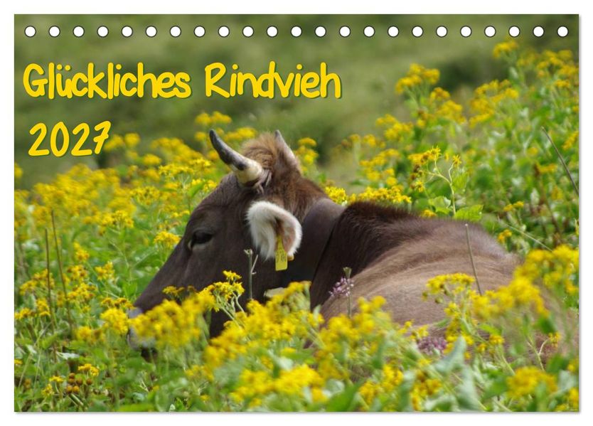 Glückliches Rindvieh 2027 (Tischkalender 2027 DIN A5 quer) CALVENDO Monatskalender